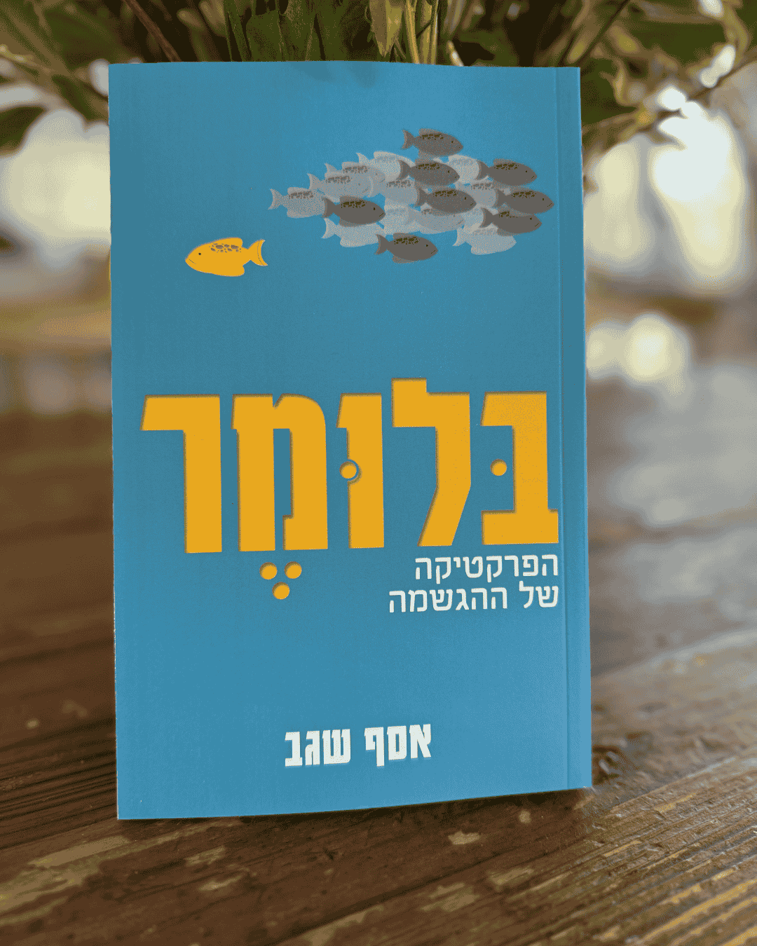 הספר בלומר - כריכה