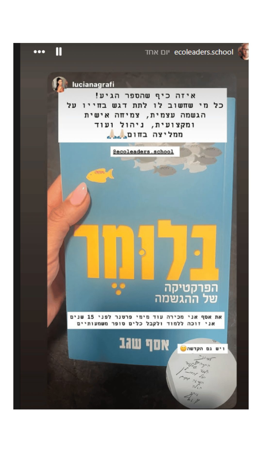 המלצה קורא