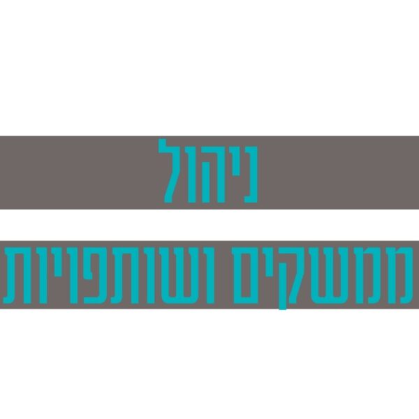 קורס דיגיטלי ניהול ממשקים ושותפויות